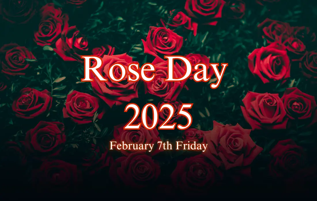 February 7th Friday Rose Day 2025